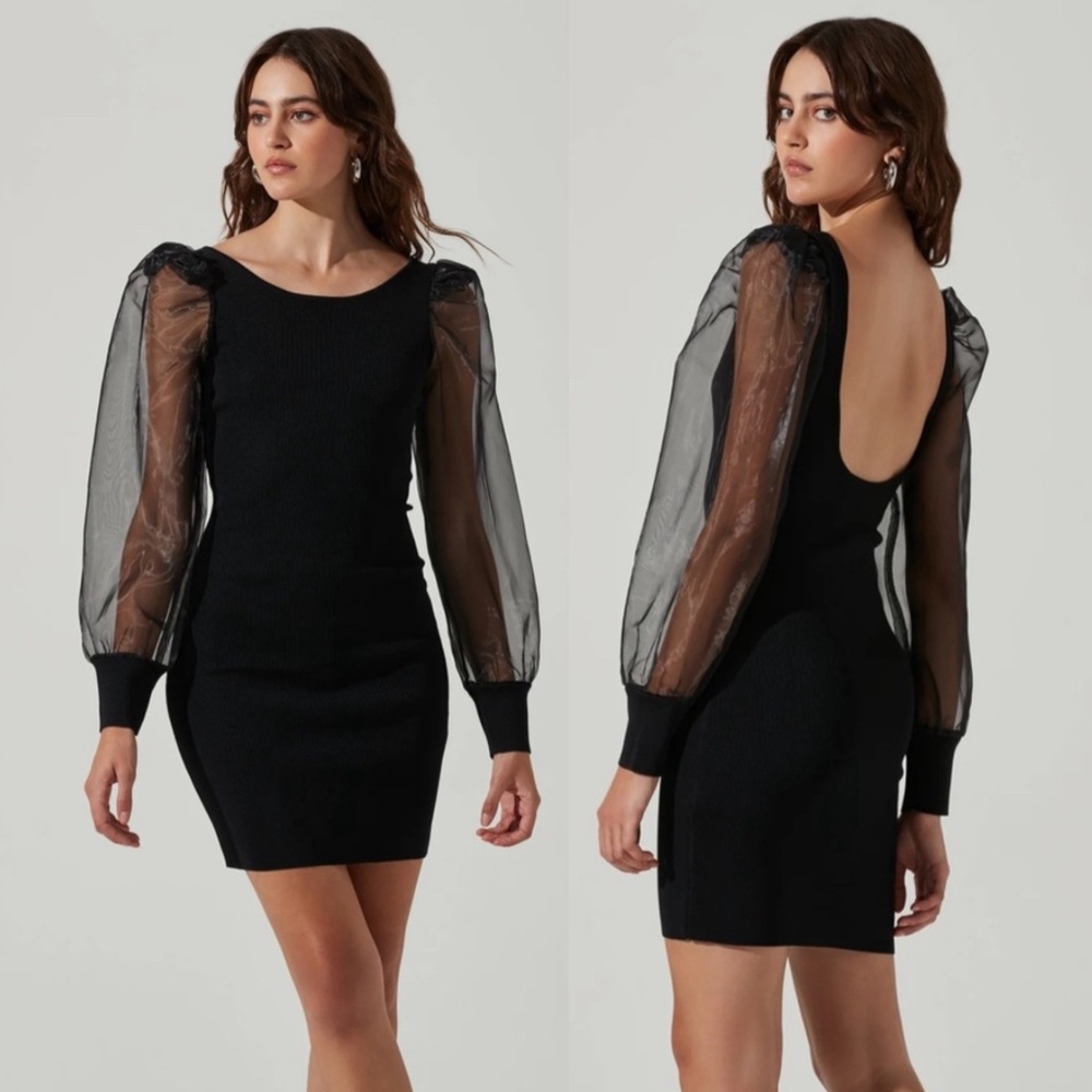 NWT Astr The Label Black ORGANZA LONG SLEEVE MINI DRESS